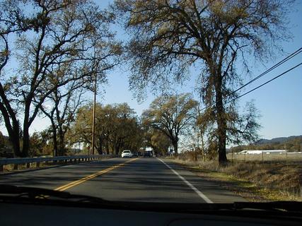 Wine Country road<br>Location: Sonoma Valley